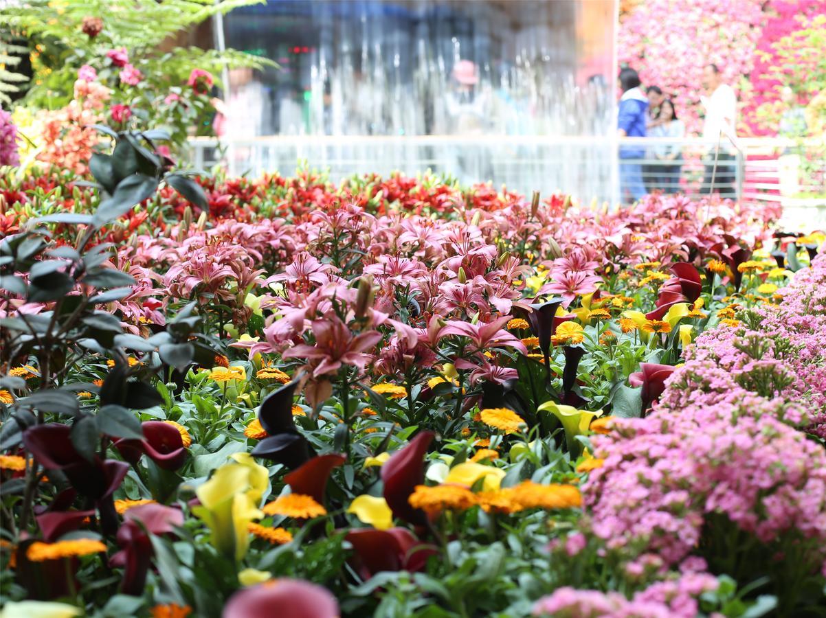 Howard Johnson Flower City Hotel Kunming Eksteriør billede